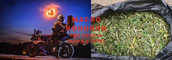 прущие грибы Аркадак