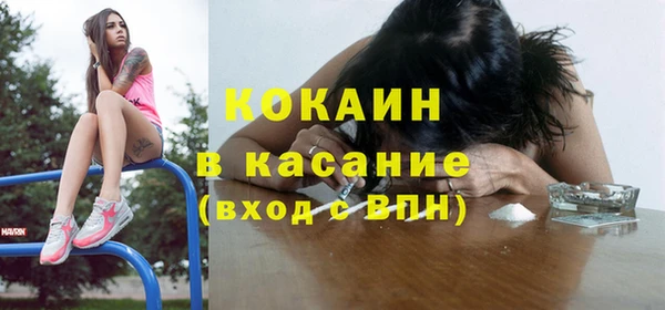 прущие грибы Аркадак